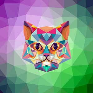 metric_cats: 65